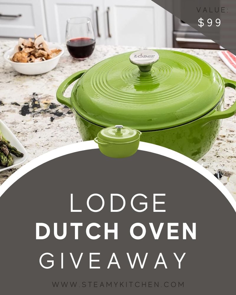 Lodge 6 Quart Enameled Cast Iron Dutch Oven