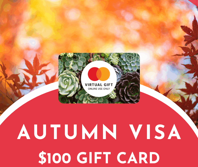 Autumn Visa $100 Gift Card Giveaway