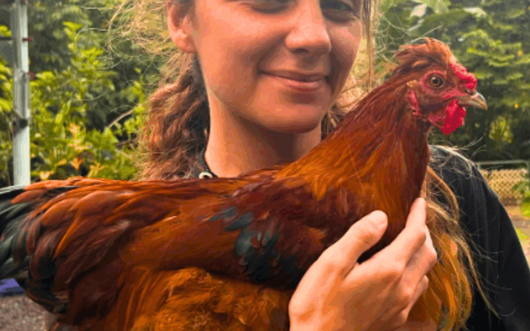 JungleFairyFarm Found Freedom in Sustainability. Here’s How You Can Too.