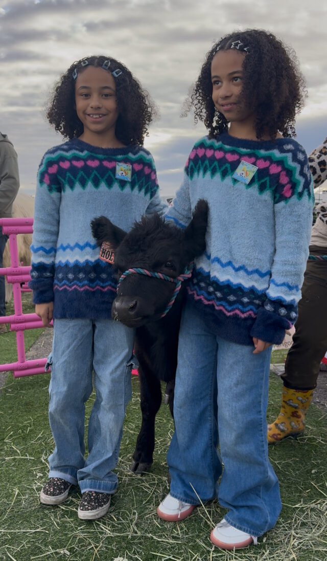Twins and a baby cow
