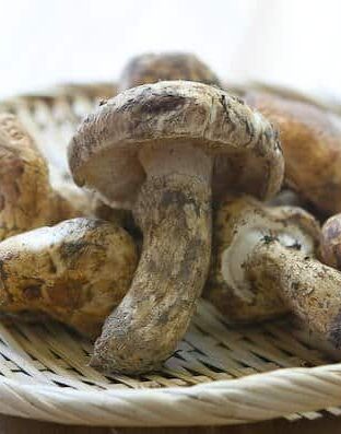 Matsutake Mushroom Dobin Mushi Recipe